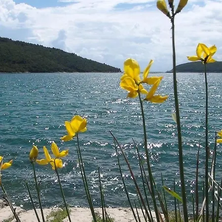 Aurora Lägenhet Ližnjan