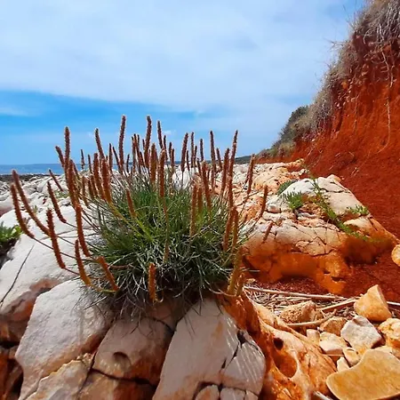 Aurora Apartament Ližnjan