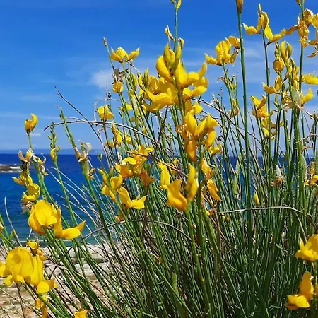 Apartament Aurora Ližnjan