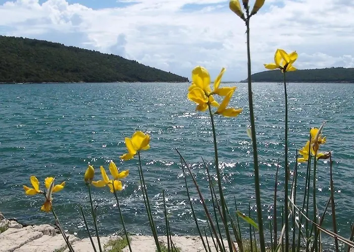 Aurora Lejlighed Ližnjan