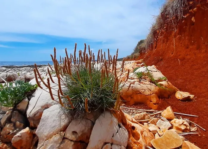 Aurora 아파트 Ližnjan