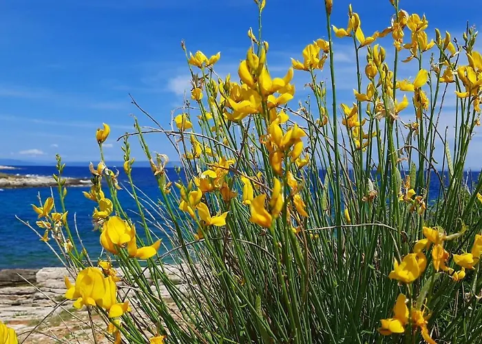 Lejlighed Aurora Ližnjan